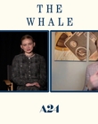Filename=2022-12-05_-_Jakes_Takes_-_The_Whale_Interview_mp47919.jpg
Filesize=495KiB
Dimensions=1920x1080
Date added=Dec 19, 2022 2022-12-05_-_Jakes_Takes_-_The_Whale_Interview_mp47919.jpg