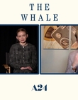 Filename=2022-12-05_-_Jakes_Takes_-_The_Whale_Interview_mp47920.jpg
Filesize=494KiB
Dimensions=1920x1080
Date added=Dec 19, 2022 2022-12-05_-_Jakes_Takes_-_The_Whale_Interview_mp47920.jpg