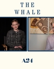 Filename=2022-12-05_-_Jakes_Takes_-_The_Whale_Interview_mp47924.jpg
Filesize=497KiB
Dimensions=1920x1080
Date added=Dec 19, 2022 2022-12-05_-_Jakes_Takes_-_The_Whale_Interview_mp47924.jpg