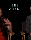 Filename=2022-12-05_-_JoBlo_Celebity_Interviews_-_The_Whale_Interview_mp48277.jpg
Filesize=617KiB
Dimensions=1920x1080
Date added=Dec 19, 2022 2022-12-05_-_JoBlo_Celebity_Interviews_-_The_Whale_Interview_mp48277.jpg