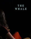 Filename=2022-12-05_-_JoBlo_Celebity_Interviews_-_The_Whale_Interview_mp48398.jpg
Filesize=304KiB
Dimensions=1920x1080
Date added=Dec 19, 2022 2022-12-05_-_JoBlo_Celebity_Interviews_-_The_Whale_Interview_mp48398.jpg