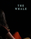 Filename=2022-12-05_-_JoBlo_Celebity_Interviews_-_The_Whale_Interview_mp48399.jpg
Filesize=310KiB
Dimensions=1920x1080
Date added=Dec 19, 2022 2022-12-05_-_JoBlo_Celebity_Interviews_-_The_Whale_Interview_mp48399.jpg