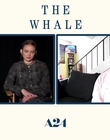 Filename=2022-12-05_-_Screen_Rant_Plus_-_The_Whale_Interview_mp48623.jpg
Filesize=528KiB
Dimensions=1920x1080
Date added=Dec 19, 2022 2022-12-05_-_Screen_Rant_Plus_-_The_Whale_Interview_mp48623.jpg