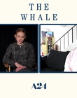 Filename=2022-12-05_-_Screen_Rant_Plus_-_The_Whale_Interview_mp48643.jpg
Filesize=525KiB
Dimensions=1920x1080
Date added=Dec 19, 2022 2022-12-05_-_Screen_Rant_Plus_-_The_Whale_Interview_mp48643.jpg