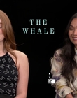 Filename=2022-12-07_-_CinemaBlend_-_The_Whale_Interview_mp49795.jpg
Filesize=631KiB
Dimensions=1920x1080
Date added=Dec 19, 2022 2022-12-07_-_CinemaBlend_-_The_Whale_Interview_mp49795.jpg