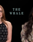 Filename=2022-12-07_-_CinemaBlend_-_The_Whale_Interview_mp49935.jpg
Filesize=656KiB
Dimensions=1920x1080
Date added=Dec 19, 2022 2022-12-07_-_CinemaBlend_-_The_Whale_Interview_mp49935.jpg