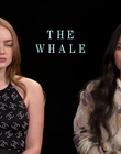 Filename=2022-12-07_-_CinemaBlend_-_The_Whale_Interview_mp49995.jpg
Filesize=650KiB
Dimensions=1920x1080
Date added=Dec 19, 2022 2022-12-07_-_CinemaBlend_-_The_Whale_Interview_mp49995.jpg