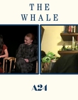 Filename=2022-12-09_-_Yahoo_Entertainment_-_The_Whale_Interview_mp411271.jpg
Filesize=490KiB
Dimensions=1920x1080
Date added=Dec 19, 2022 2022-12-09_-_Yahoo_Entertainment_-_The_Whale_Interview_mp411271.jpg