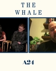 Filename=2022-12-09_-_Yahoo_Entertainment_-_The_Whale_Interview_mp411274.jpg
Filesize=514KiB
Dimensions=1920x1080
Date added=Dec 19, 2022 2022-12-09_-_Yahoo_Entertainment_-_The_Whale_Interview_mp411274.jpg
