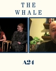 Filename=2022-12-09_-_Yahoo_Entertainment_-_The_Whale_Interview_mp411280.jpg
Filesize=530KiB
Dimensions=1920x1080
Date added=Dec 19, 2022 2022-12-09_-_Yahoo_Entertainment_-_The_Whale_Interview_mp411280.jpg