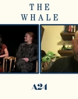 Filename=2022-12-09_-_Yahoo_Entertainment_-_The_Whale_Interview_mp411282.jpg
Filesize=502KiB
Dimensions=1920x1080
Date added=Dec 19, 2022 2022-12-09_-_Yahoo_Entertainment_-_The_Whale_Interview_mp411282.jpg