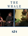 Filename=2022-12-09_-_Yahoo_Entertainment_-_The_Whale_Interview_mp411292.jpg
Filesize=501KiB
Dimensions=1920x1080
Date added=Dec 19, 2022 2022-12-09_-_Yahoo_Entertainment_-_The_Whale_Interview_mp411292.jpg