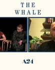 Filename=2022-12-09_-_Yahoo_Entertainment_-_The_Whale_Interview_mp411309.jpg
Filesize=543KiB
Dimensions=1920x1080
Date added=Dec 19, 2022 2022-12-09_-_Yahoo_Entertainment_-_The_Whale_Interview_mp411309.jpg