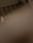 Filename=2022-12-14_-_A_Flaunt_Film_-_Sadie_Sink_Presented_by_Thom_Browne_mp40067.jpg
Filesize=393KiB
Dimensions=1920x1080
Date added=Dec 22, 2022 2022-12-14_-_A_Flaunt_Film_-_Sadie_Sink_Presented_by_Thom_Browne_mp40067.jpg