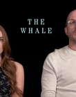 Filename=2022-12-21_-_Fandango_-_The_Whale_Interview_mp41360.jpg
Filesize=525KiB
Dimensions=1920x1080
Date added=Dec 23, 2022 2022-12-21_-_Fandango_-_The_Whale_Interview_mp41360.jpg