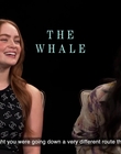 Filename=2022-12-26_-_AsiaOne_-_The_Whale_Interview_mp42166.jpg
Filesize=578KiB
Dimensions=1920x1080
Date added=Dec 29, 2022 2022-12-26_-_AsiaOne_-_The_Whale_Interview_mp42166.jpg