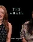 Filename=2022-12-26_-_AsiaOne_-_The_Whale_Interview_mp42193.jpg
Filesize=590KiB
Dimensions=1920x1080
Date added=Dec 29, 2022 2022-12-26_-_AsiaOne_-_The_Whale_Interview_mp42193.jpg