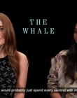 Filename=2022-12-26_-_AsiaOne_-_The_Whale_Interview_mp42220.jpg
Filesize=609KiB
Dimensions=1920x1080
Date added=Dec 29, 2022 2022-12-26_-_AsiaOne_-_The_Whale_Interview_mp42220.jpg