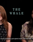 Filename=2022-12-26_-_AsiaOne_-_The_Whale_Interview_mp42221.jpg
Filesize=611KiB
Dimensions=1920x1080
Date added=Dec 29, 2022 2022-12-26_-_AsiaOne_-_The_Whale_Interview_mp42221.jpg