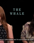 Filename=2022-12-26_-_AsiaOne_-_The_Whale_Interview_mp42265.jpg
Filesize=636KiB
Dimensions=1920x1080
Date added=Dec 29, 2022 2022-12-26_-_AsiaOne_-_The_Whale_Interview_mp42265.jpg
