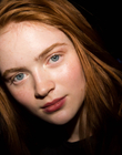 HQ_2810529.jpg