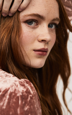 S03_2849129.jpg