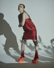 RED_281429.jpg