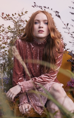 S03_2821529.jpg