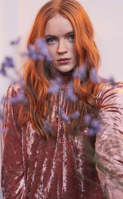 S03_2824029.jpg