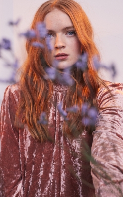 S03_2824429.jpg